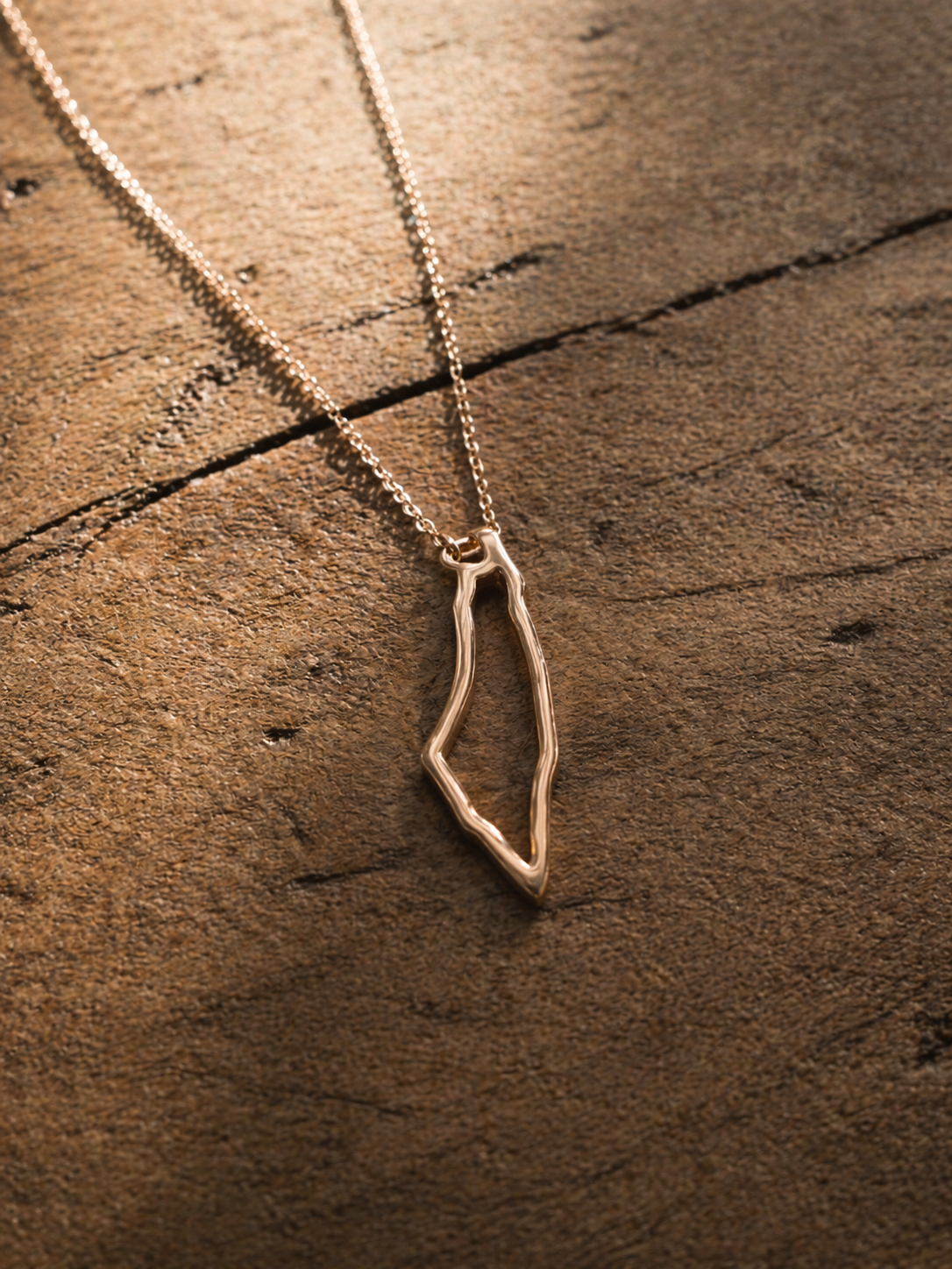 Palestina Kontur Halsband – Minimalistisk Design (Guld/Silver)