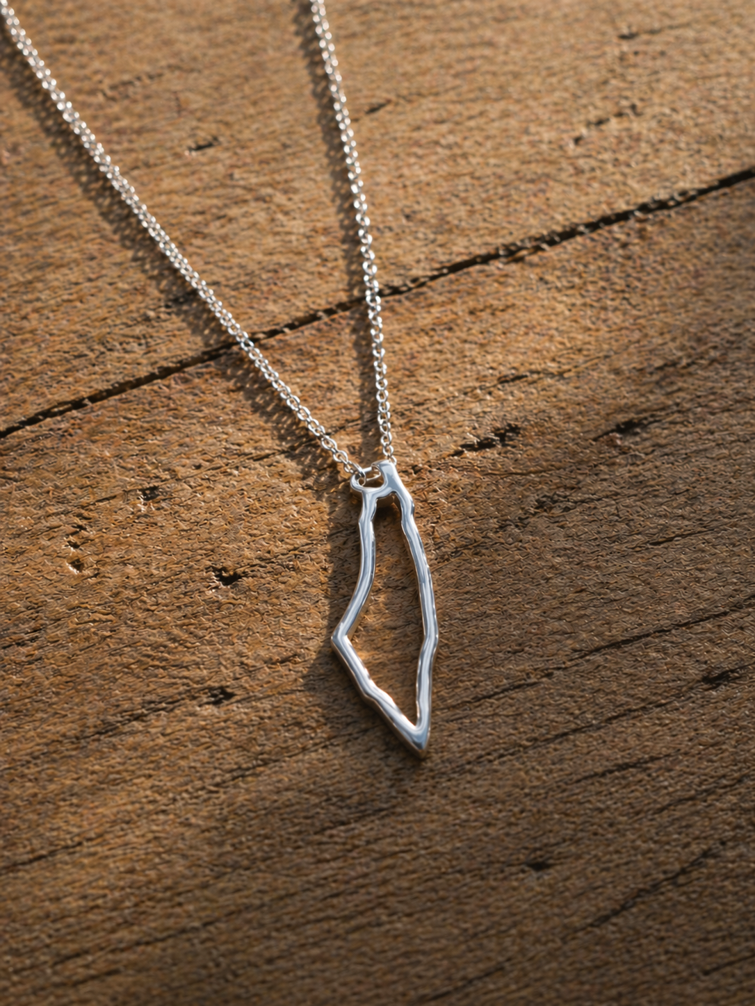 Palestina Kontur Halsband – Minimalistisk Design (Guld/Silver)